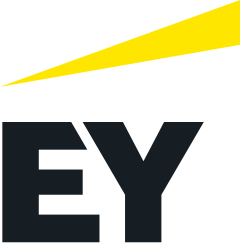 LMI EY logo